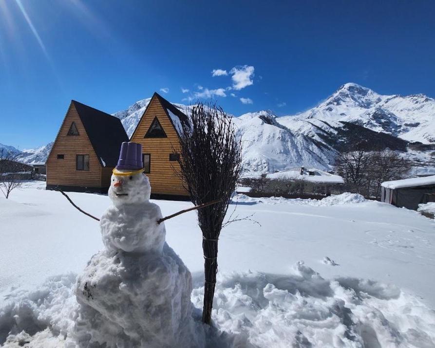 Via Kazbegi Villa Exterior photo